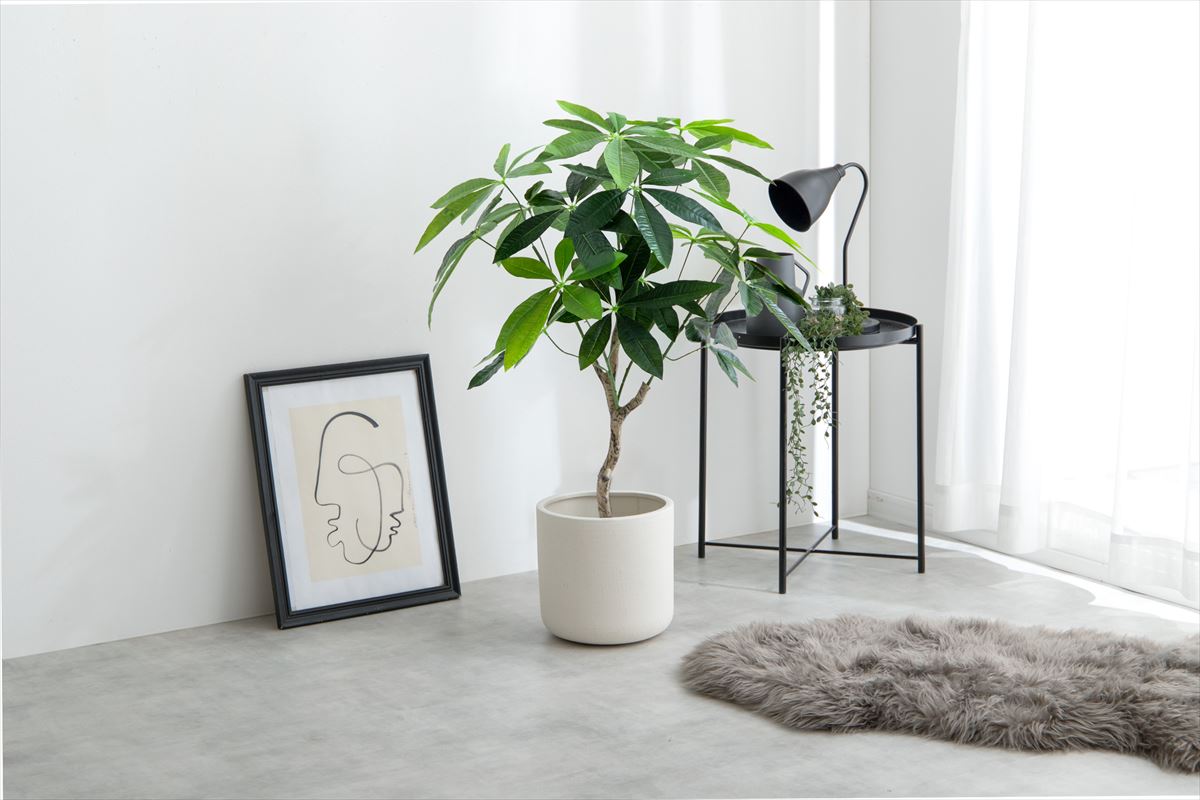 【高さ90cm】Nature 光触媒人工観葉植物 パキラ