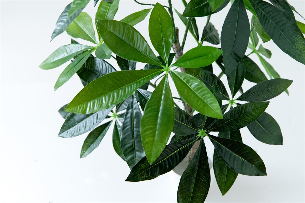 【高さ90cm】Nature 光触媒人工観葉植物 パキラ