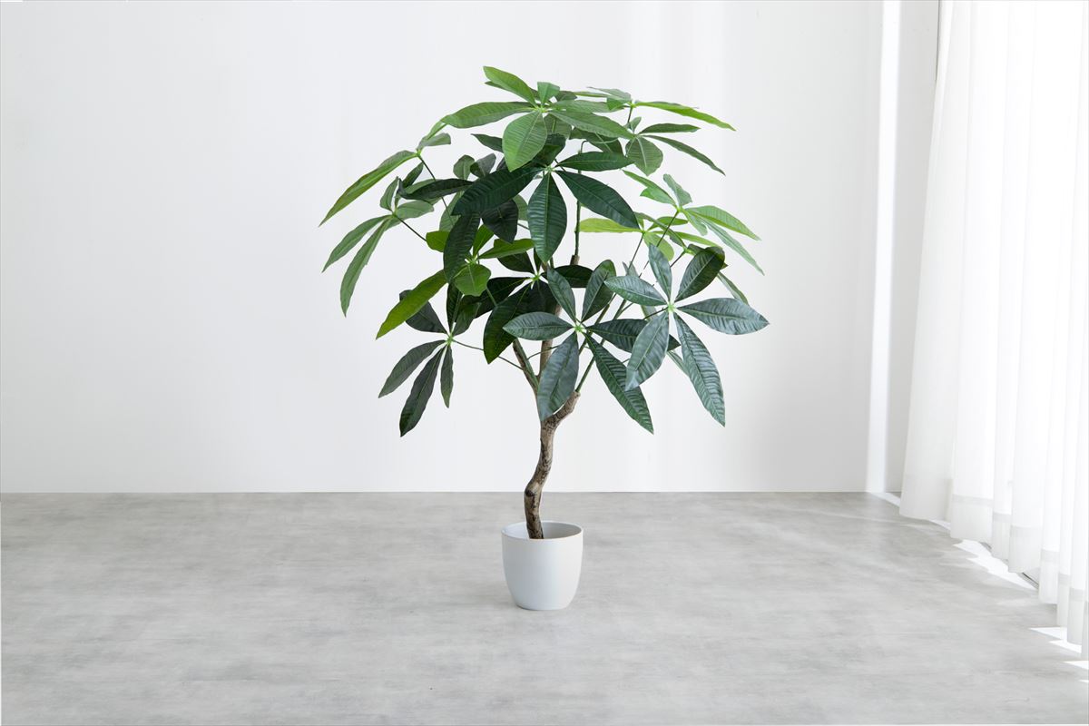 【高さ90cm】Nature 光触媒人工観葉植物 パキラ