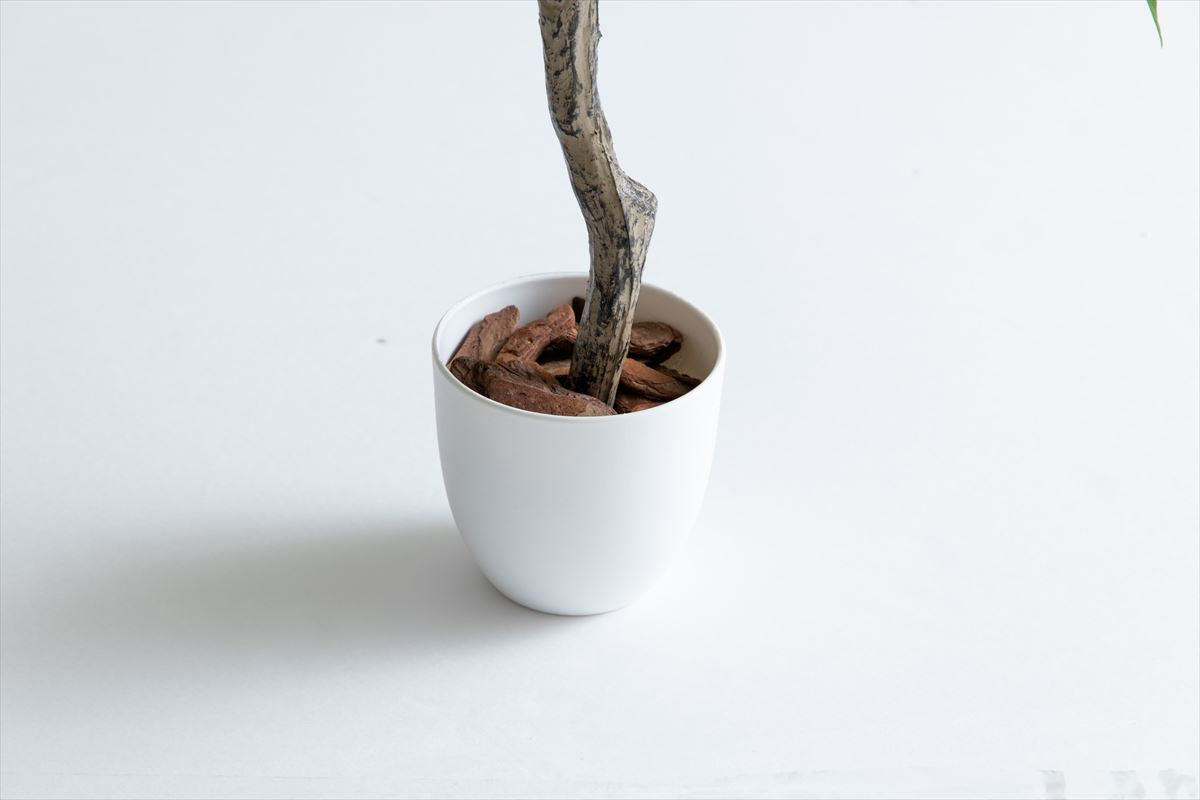 【高さ90cm】Nature 光触媒人工観葉植物 パキラ