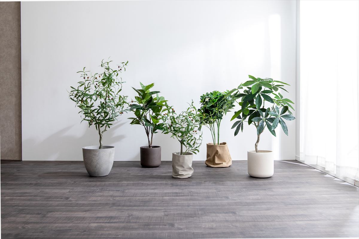 【高さ90cm】Nature 光触媒人工観葉植物 パキラ