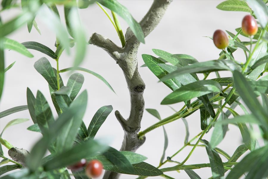 【高さ125cm】Nature 光触媒人工観葉植物 オリーブ