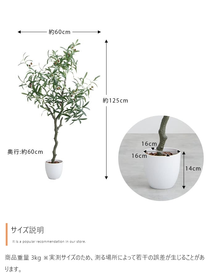 【高さ125cm】Nature 光触媒人工観葉植物 オリーブ
