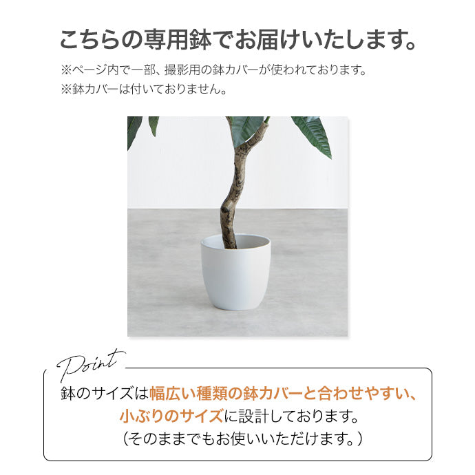 【高さ95cm】Nature 光触媒人工観葉植物 ゴムの木