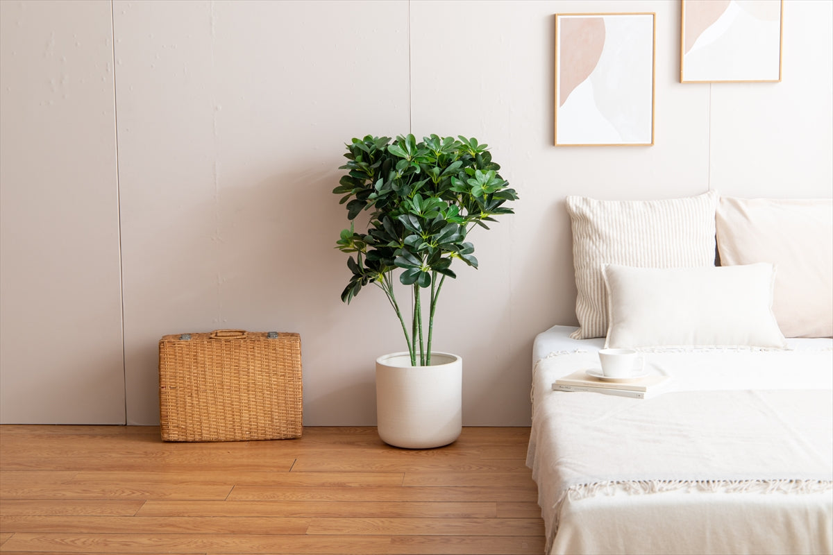 【高さ90cm】Nature 光触媒人工観葉植物 カポック