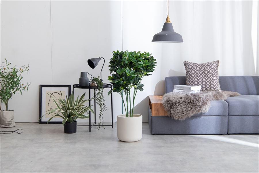 【高さ90cm】Nature 光触媒人工観葉植物 カポック
