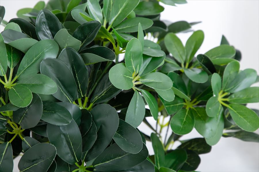 【高さ90cm】Nature 光触媒人工観葉植物 カポック