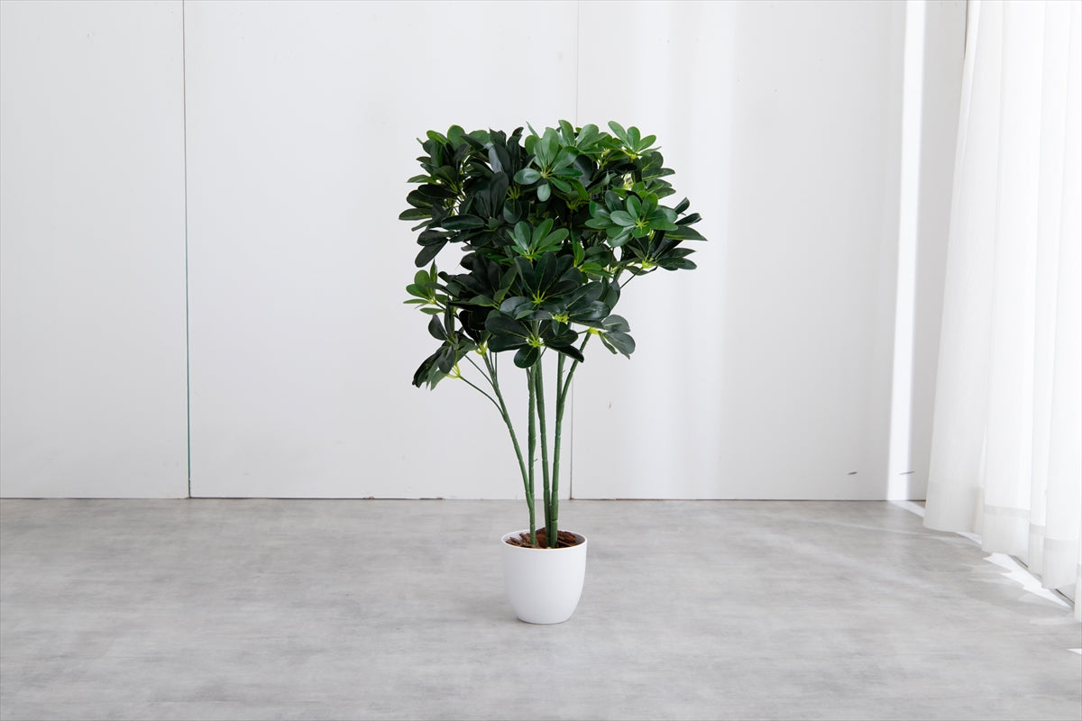 【高さ90cm】Nature 光触媒人工観葉植物 カポック