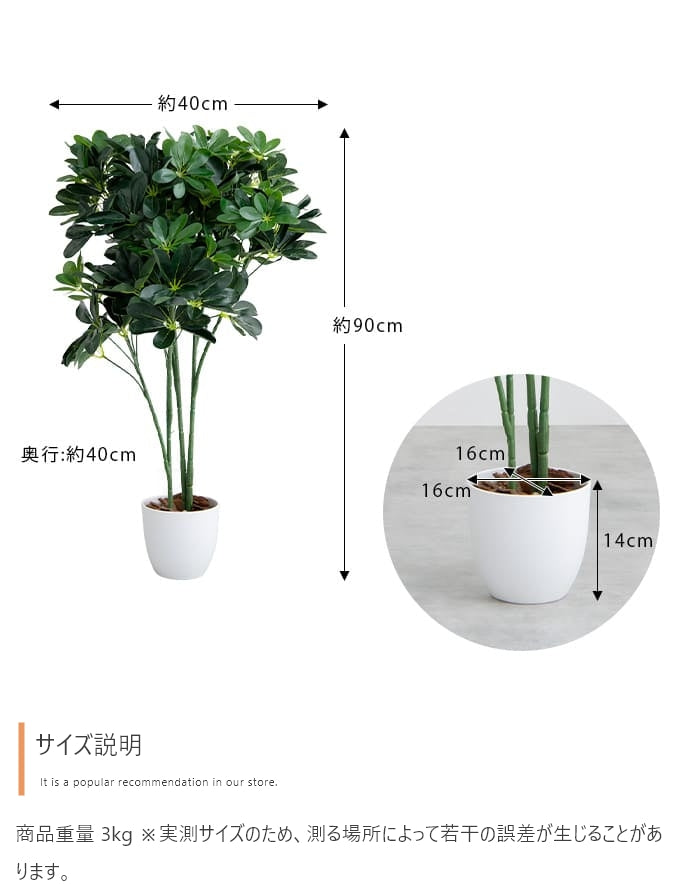 【高さ90cm】Nature 光触媒人工観葉植物 カポック
