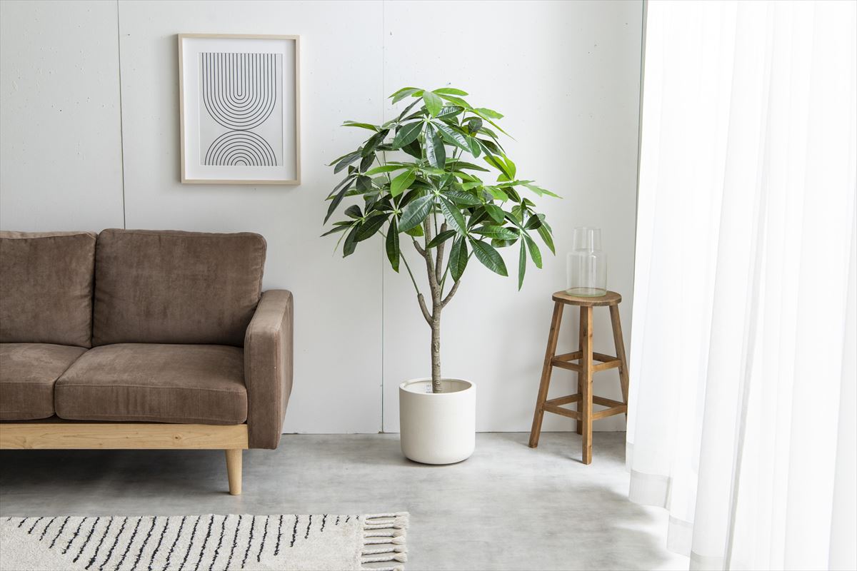 【高さ120cm】Nature 光触媒人工観葉植物 パキラ