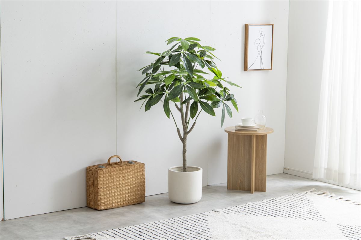 【高さ120cm】Nature 光触媒人工観葉植物 パキラ