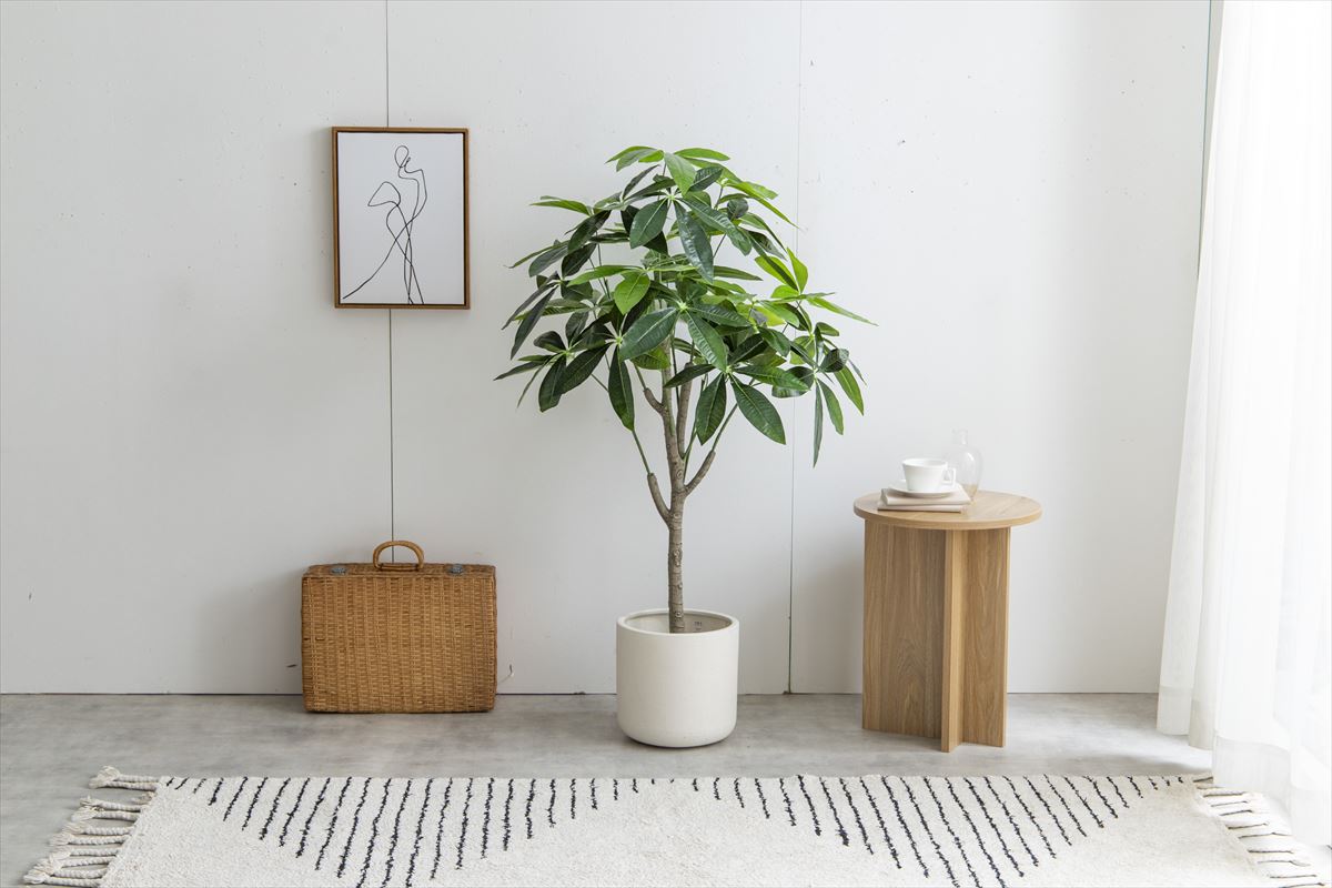 【高さ120cm】Nature 光触媒人工観葉植物 パキラ