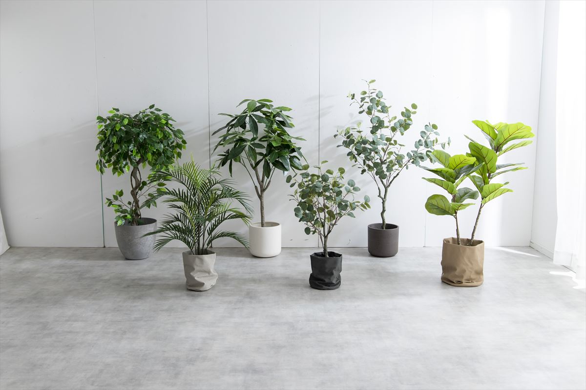 【高さ120cm】Nature 光触媒人工観葉植物 パキラ
