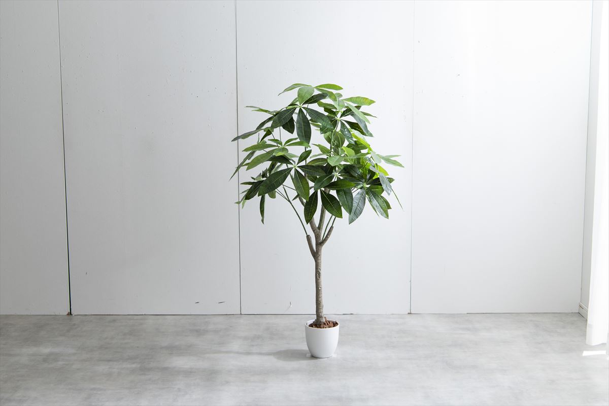 【高さ120cm】Nature 光触媒人工観葉植物 パキラ