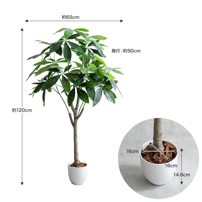 【高さ120cm】Nature 光触媒人工観葉植物 パキラ