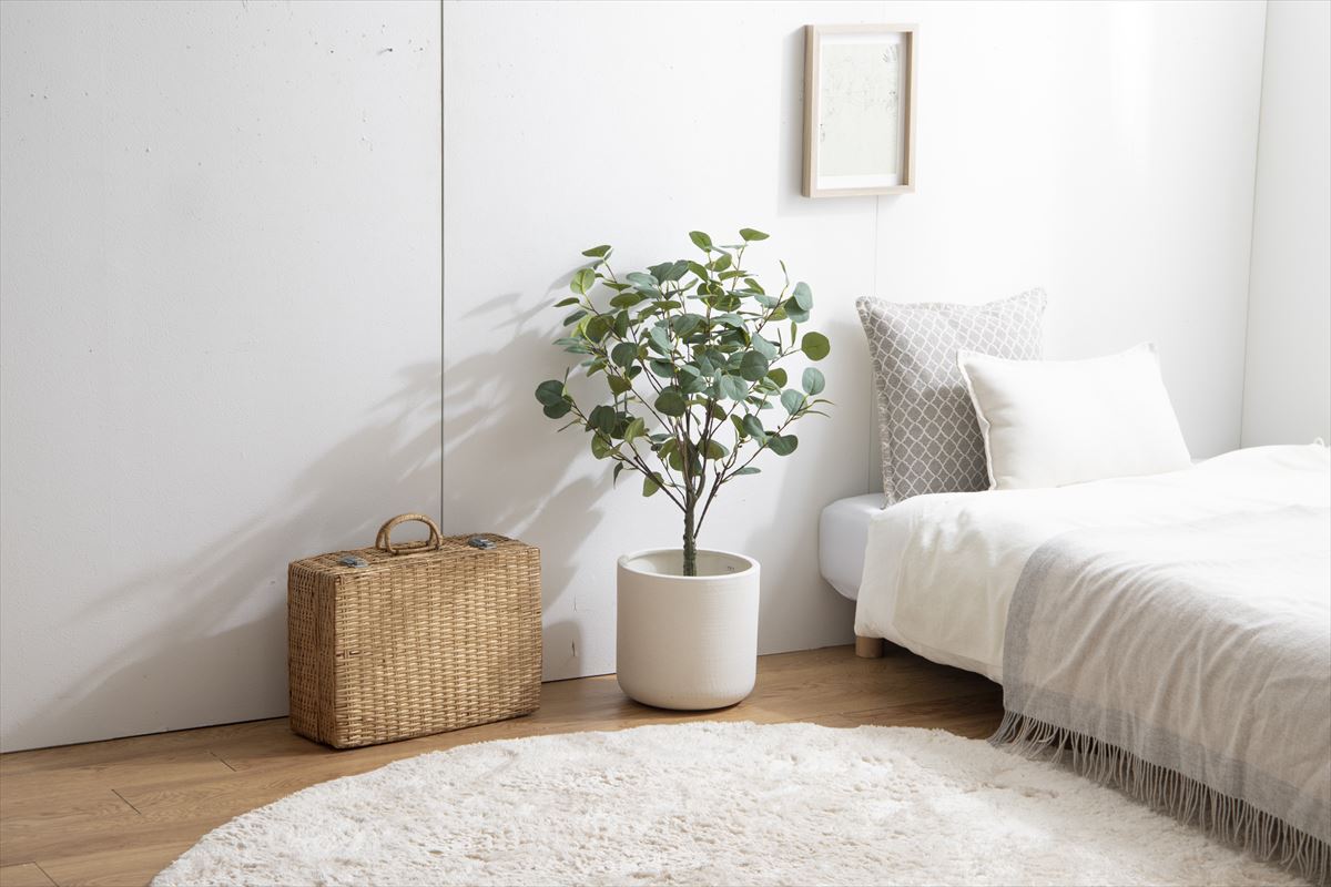 【高さ85cm】Nature 光触媒人工観葉植物 ユーカリ