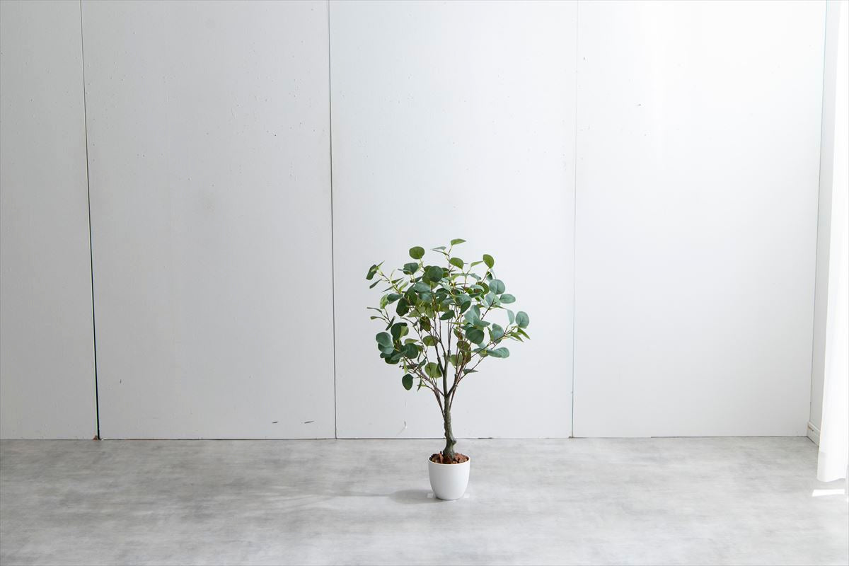【高さ85cm】Nature 光触媒人工観葉植物 ユーカリ