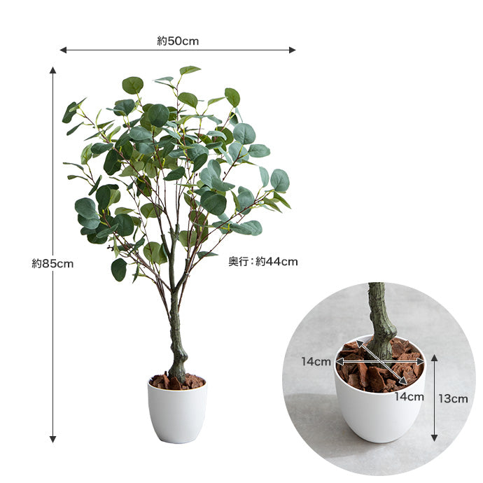 【高さ85cm】Nature 光触媒人工観葉植物 ユーカリ