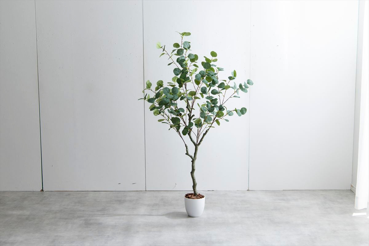 【高さ130cm】Nature 光触媒人工観葉植物 ユーカリ