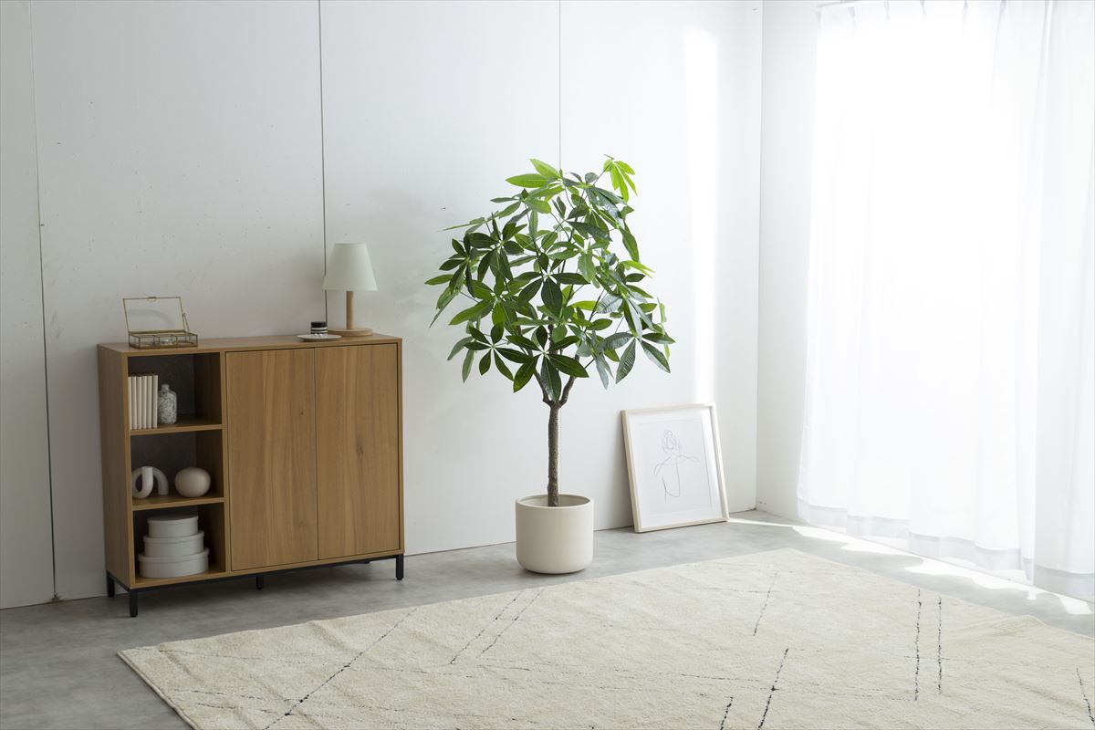 【高さ150cm】Nature 光触媒人工観葉植物 パキラ