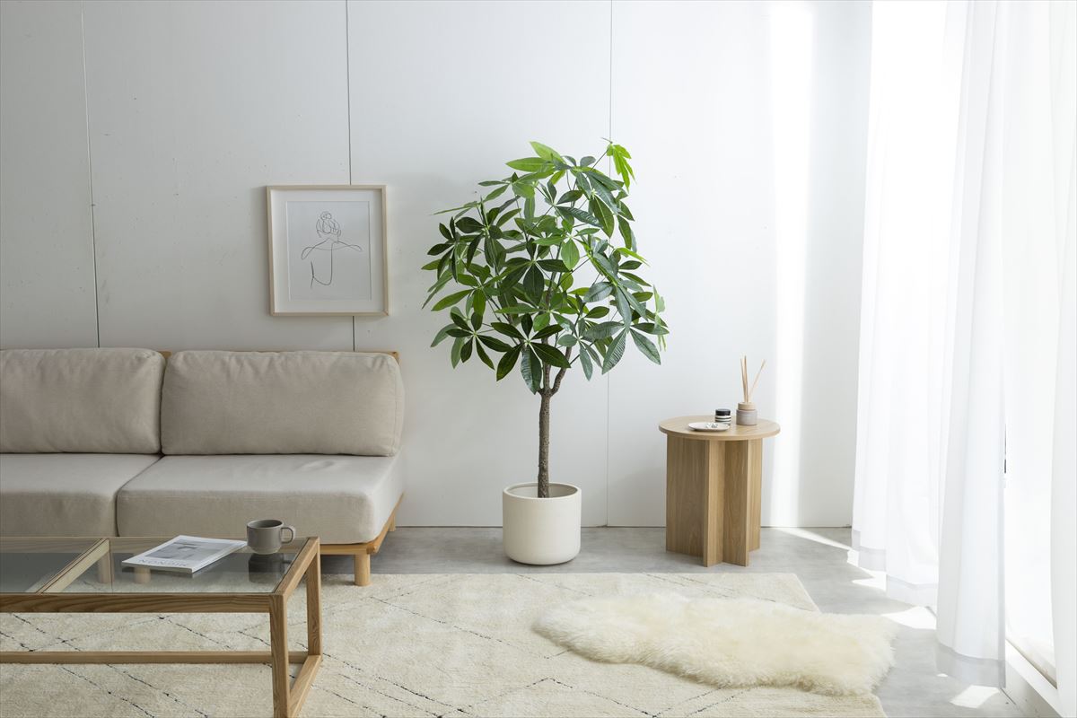【高さ150cm】Nature 光触媒人工観葉植物 パキラ