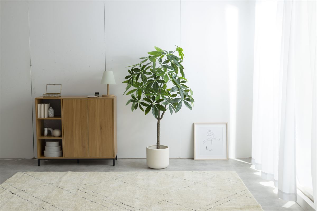 【高さ150cm】Nature 光触媒人工観葉植物 パキラ