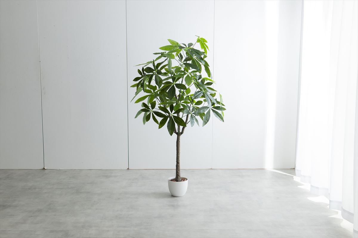 【高さ150cm】Nature 光触媒人工観葉植物 パキラ