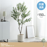 【高さ150cm】Nature 光触媒人工観葉植物 オリーブ