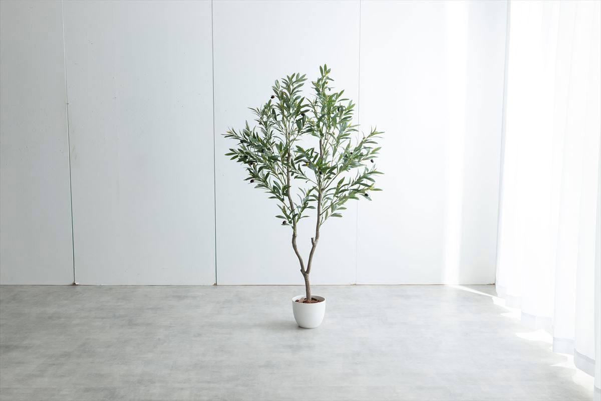 【高さ150cm】Nature 光触媒人工観葉植物 オリーブ