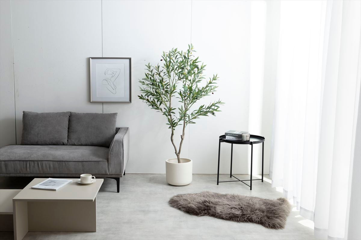 【高さ150cm】Nature 光触媒人工観葉植物 オリーブ
