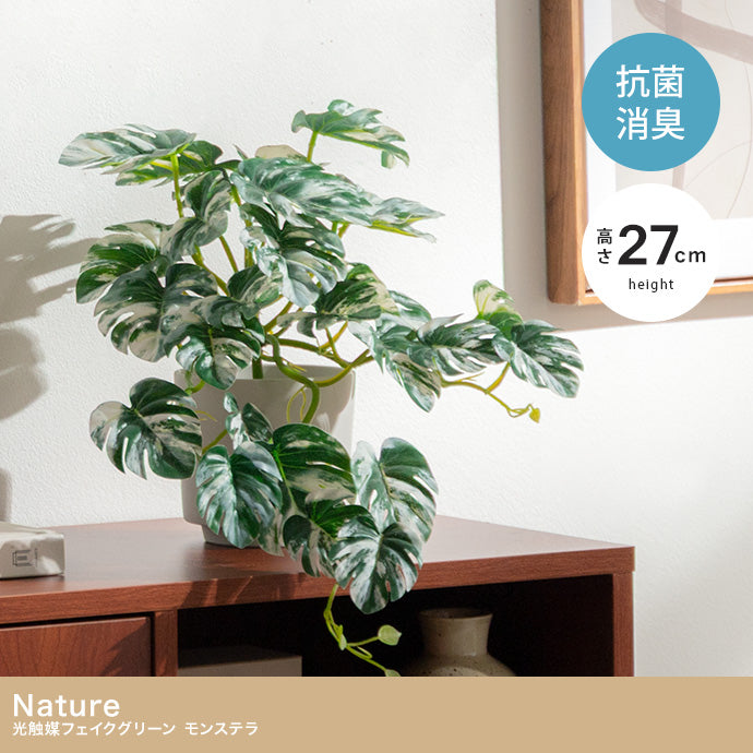 【高さ27cm】Nature 光触媒人工観葉植物 モンステラ