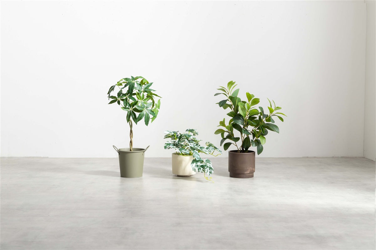 【高さ27cm】Nature 光触媒人工観葉植物 モンステラ