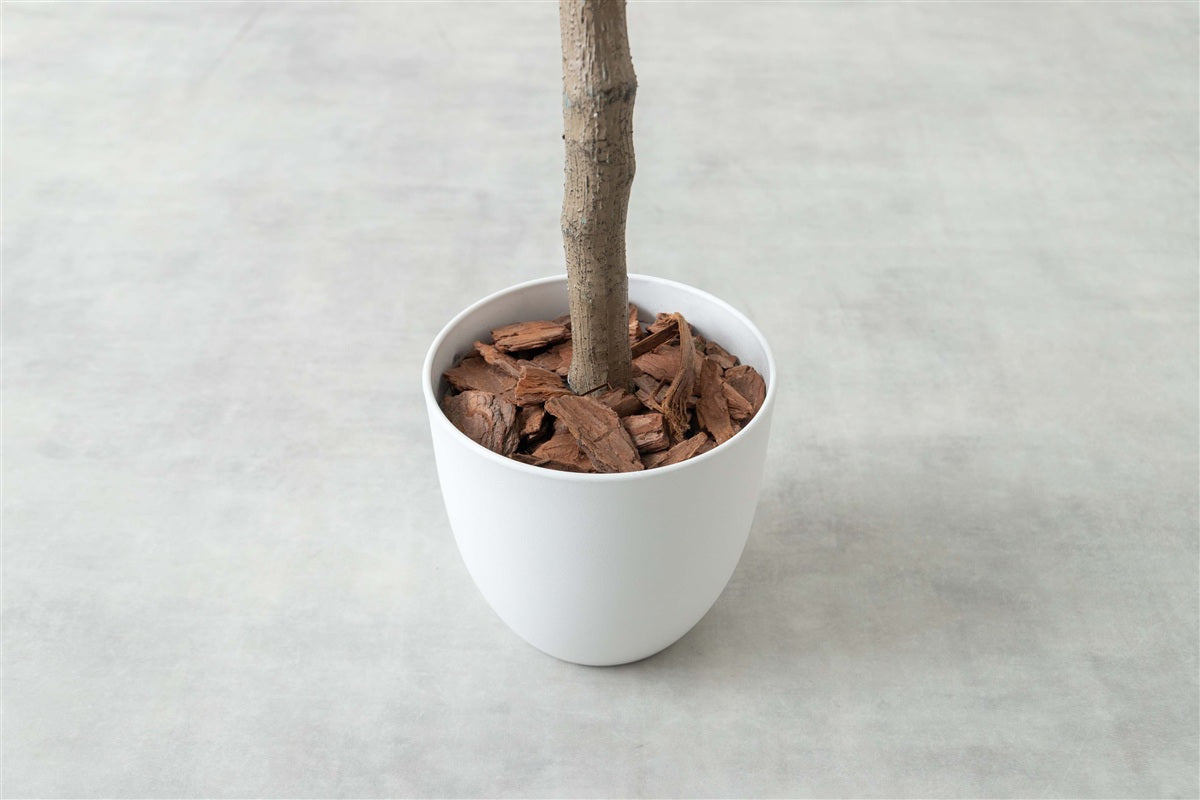【高さ27cm】Nature 光触媒人工観葉植物 モンステラ