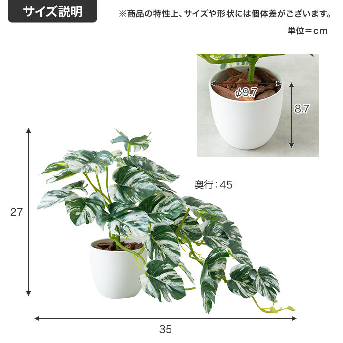 【高さ27cm】Nature 光触媒人工観葉植物 モンステラ