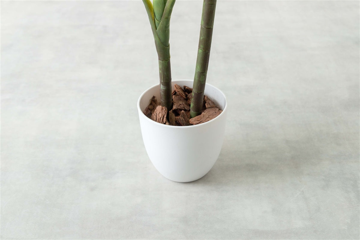 【高さ90cm】Nature 光触媒人工観葉植物 モンステラ