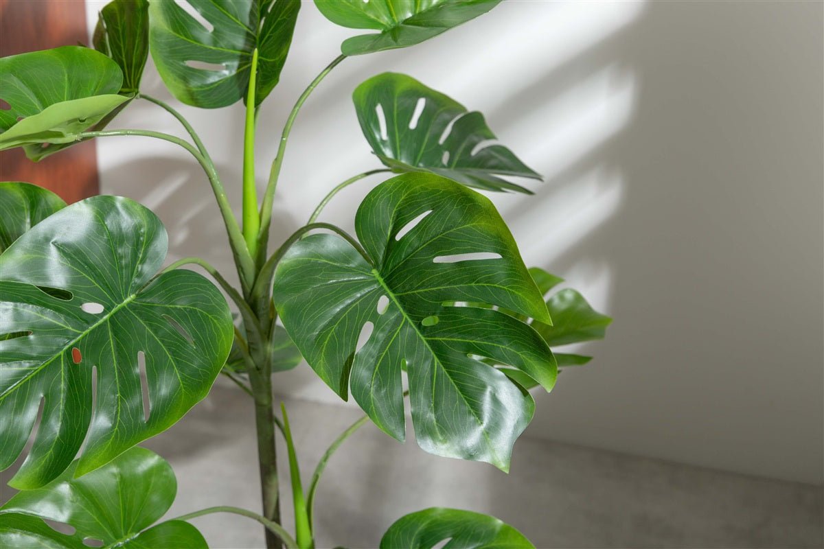 【高さ90cm】Nature 光触媒人工観葉植物 モンステラ