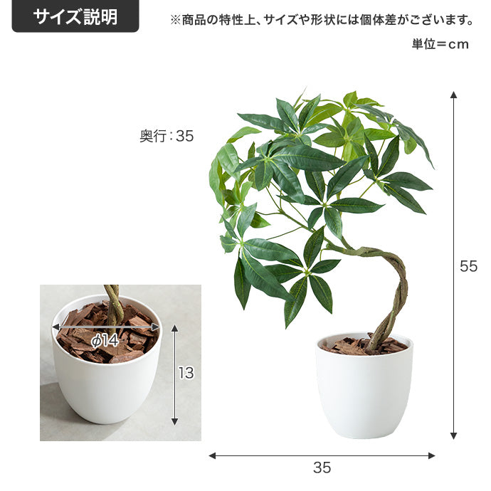 【高さ55cm】Nature 光触媒人工観葉植物 パキラ