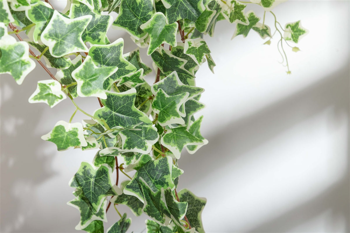 【120cm】Nature 光触媒人工観葉植物 アイビーガーランド