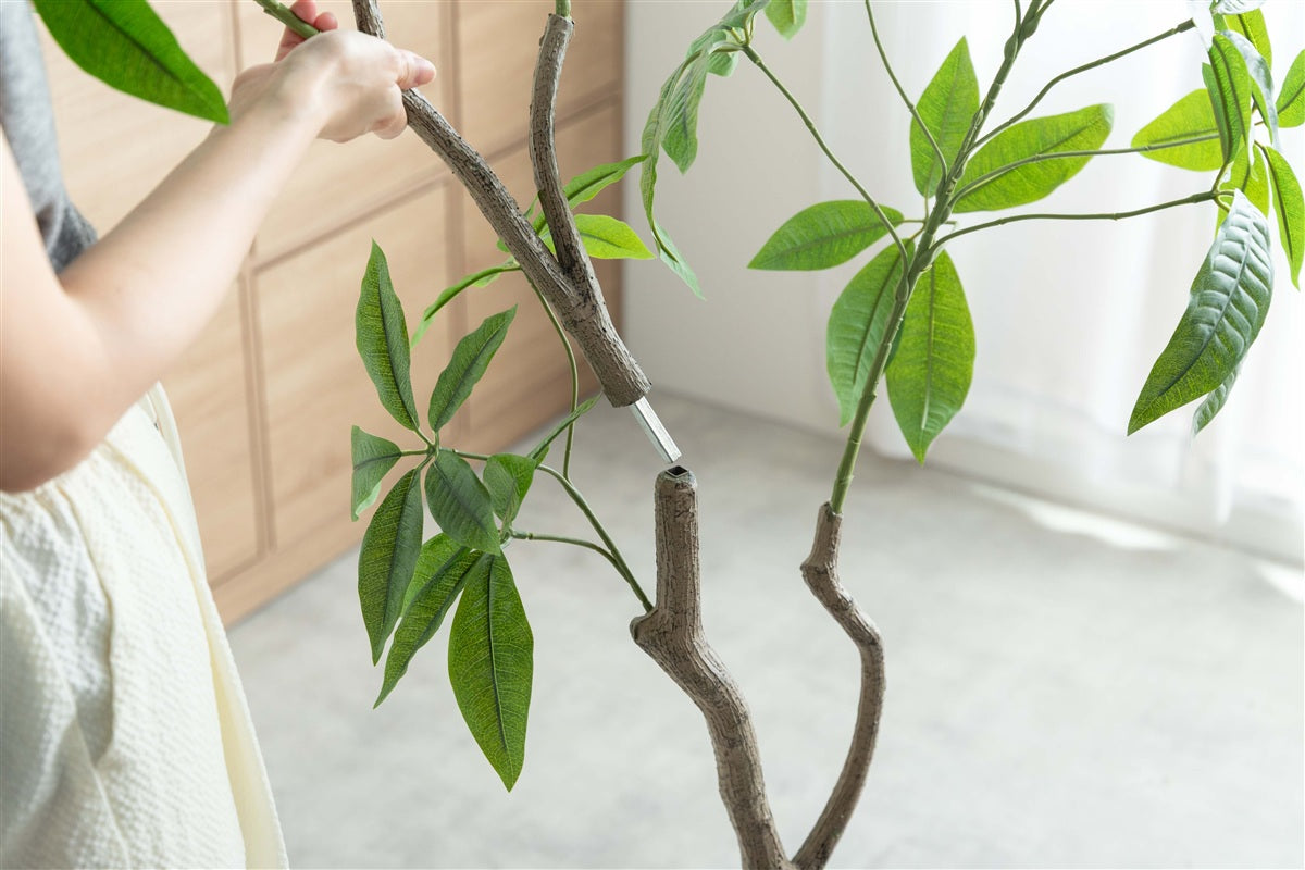 【高さ200cm】Nature 光触媒人工観葉植物 パキラ 曲がり