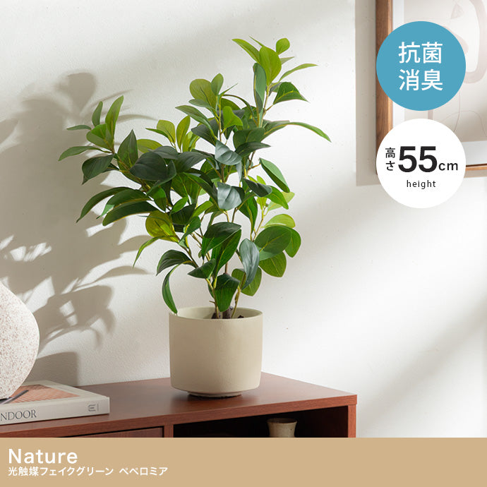 【高さ55cm】Nature 光触媒人工観葉植物 ペペロミア