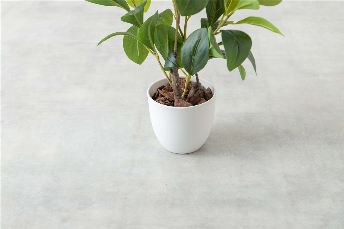 【高さ55cm】Nature 光触媒人工観葉植物 ペペロミア