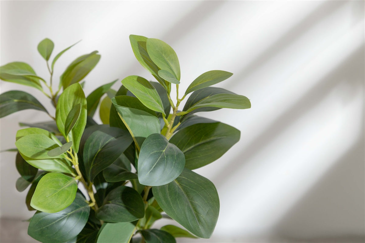 【高さ55cm】Nature 光触媒人工観葉植物 ペペロミア