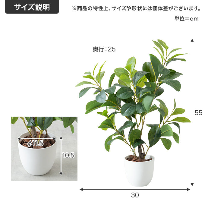 【高さ55cm】Nature 光触媒人工観葉植物 ペペロミア