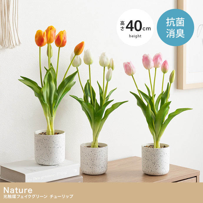 【高さ40cm】Nature 光触媒人工観葉植物 チューリップ