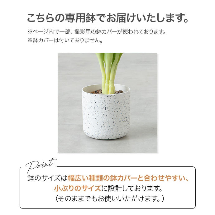【高さ40cm】Nature 光触媒人工観葉植物 チューリップ