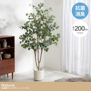 【高さ200cm】Nature 光触媒人工観葉植物 ユーカリ
