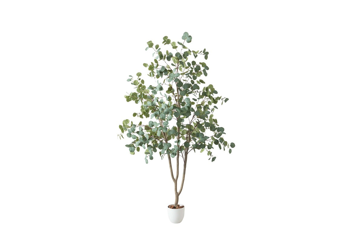 【高さ200cm】Nature 光触媒人工観葉植物 ユーカリ