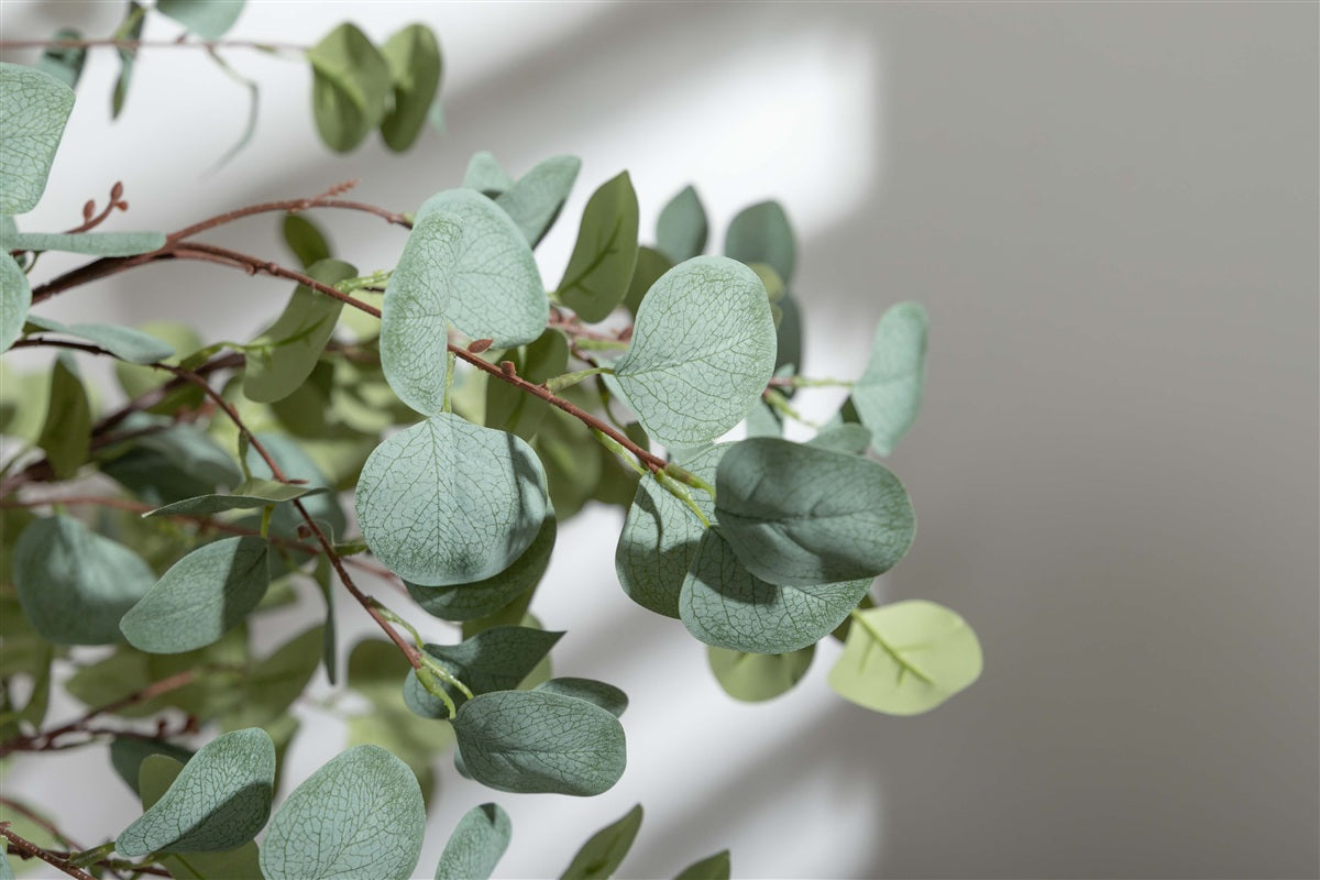 【高さ200cm】Nature 光触媒人工観葉植物 ユーカリ