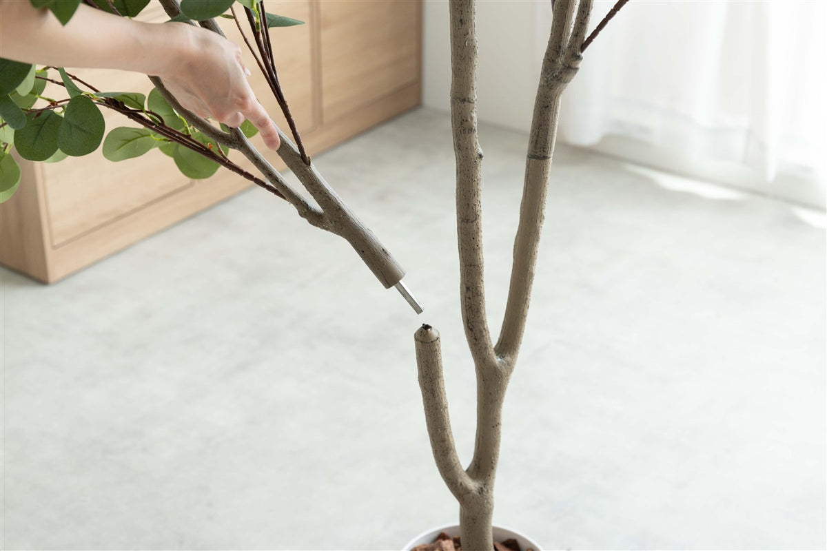 【高さ200cm】Nature 光触媒人工観葉植物 ユーカリ
