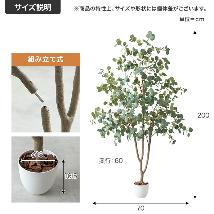 【高さ200cm】Nature 光触媒人工観葉植物 ユーカリ